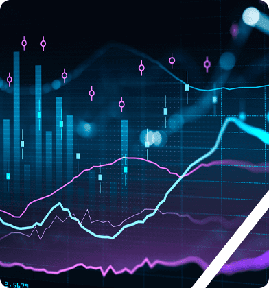 Investment case